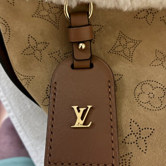 ADDITIONAL PHOTOS ONLY*******Louis Vuitton CarryAll PM in Mahina - Picture 6 of 12